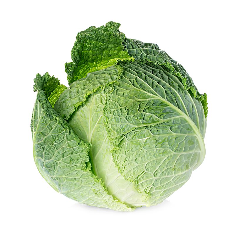 1 Green Cabbage