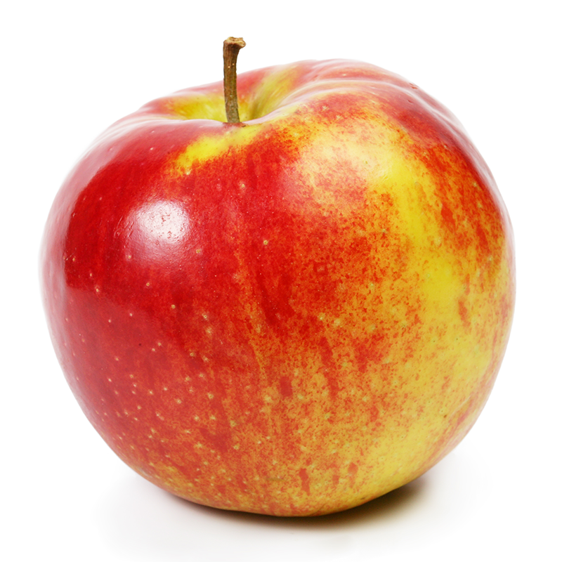 11kg Organic Elstar Apples
