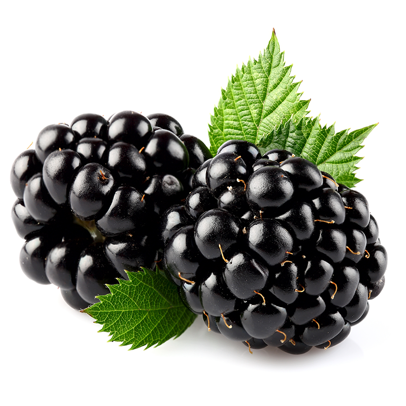 12x125g Blackberries