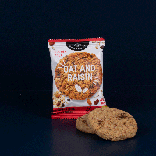 25 Oat and Raisin Biscuits Martine Matin