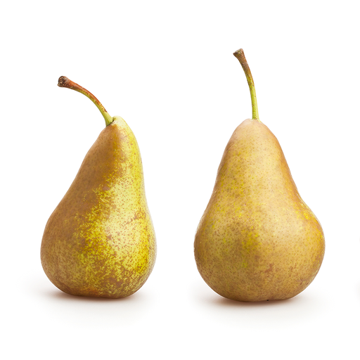 1 Conference Pear