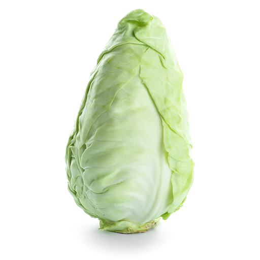 1 Pointy Cabbage